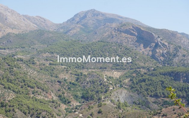 Revente - Maison de campagne - Intérieur                       - Yunquera