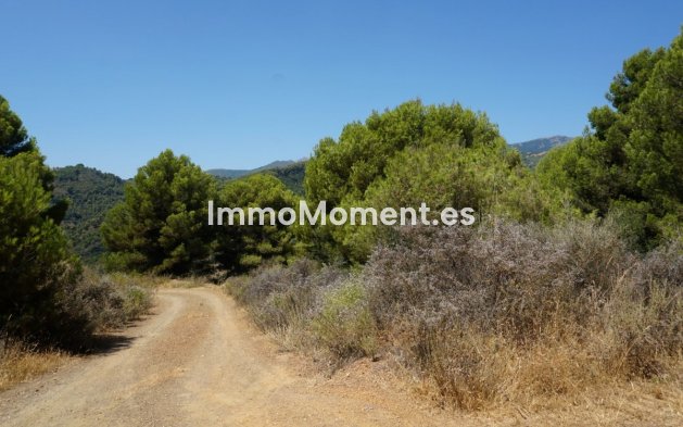 Revente - Maison de campagne - Intérieur                       - Yunquera