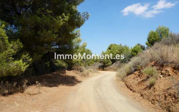 Revente - Maison de campagne - Intérieur                       - Yunquera