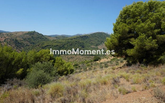 Revente - Maison de campagne - Intérieur                       - Yunquera