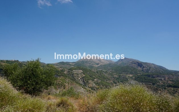 Revente - Maison de campagne - Intérieur                       - Yunquera