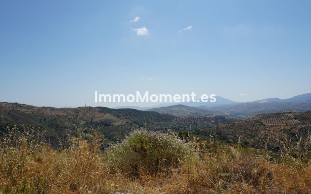 Revente - Maison de campagne - Intérieur                       - Yunquera