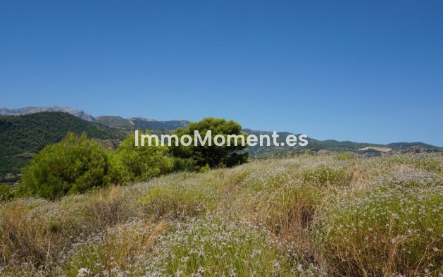 Revente - Maison de campagne - Intérieur                       - Yunquera