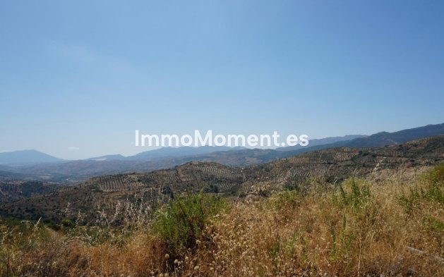 Revente - Maison de campagne - Intérieur                       - Yunquera