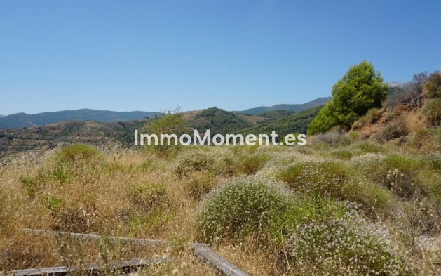 Revente - Maison de campagne - Intérieur                       - Yunquera