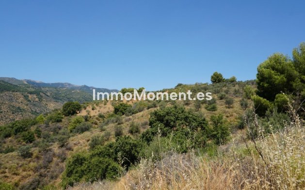 Revente - Maison de campagne - Intérieur                       - Yunquera