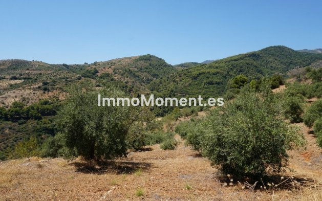 Revente - Maison de campagne - Intérieur                       - Yunquera
