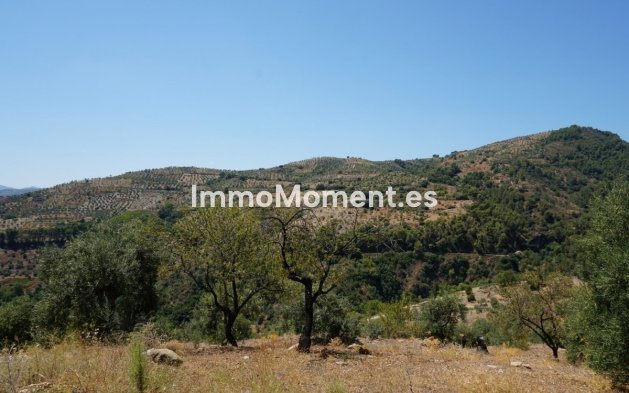 Revente - Maison de campagne - Intérieur                       - Yunquera