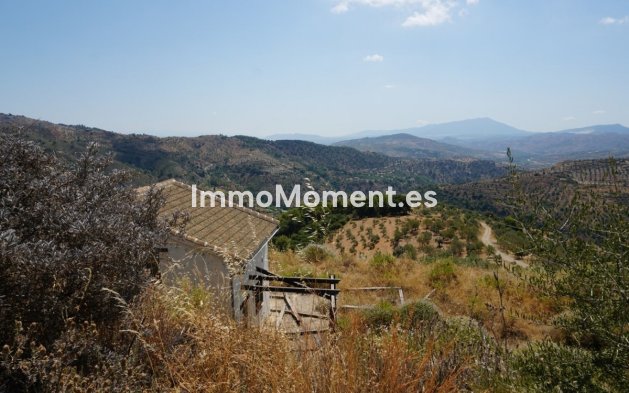 Revente - Maison de campagne - Intérieur                       - Yunquera