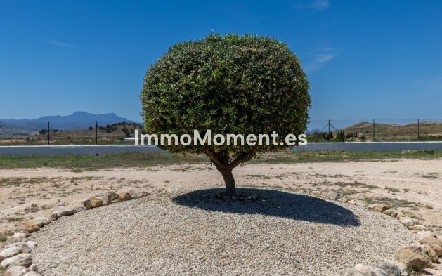 Wiederverkauf - Landhaus - Jumilla - Torre Del Rico