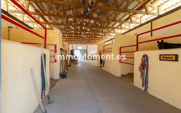 Wiederverkauf - Landhaus - Jumilla - Torre Del Rico