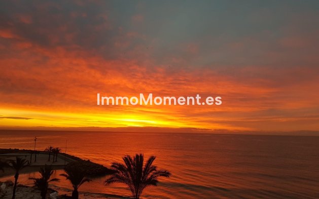 Bestaande woning - Appartement - Torrevieja - Playa del Cura