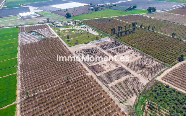 Bestaande woning - Landhuis - Crevillente - Crevillente - Crevillent Centro