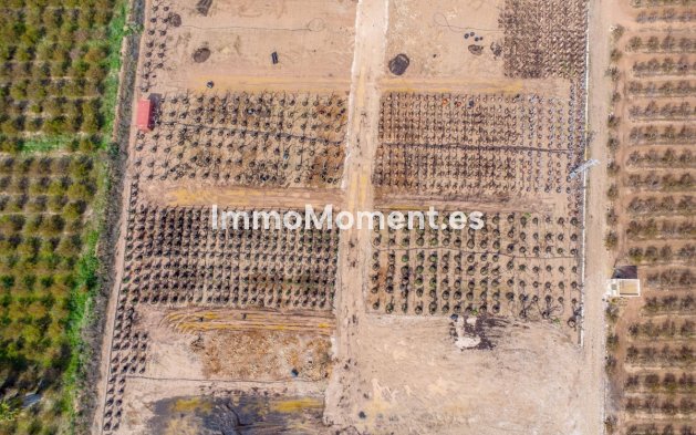 Bestaande woning - Landhuis - Crevillente - Crevillente - Crevillent Centro