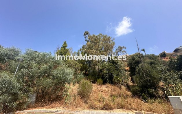 Revente - Terrain - Estepona  - Estepona Centro