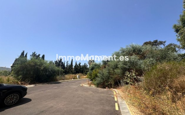 Revente - Terrain - Estepona  - Estepona Centro
