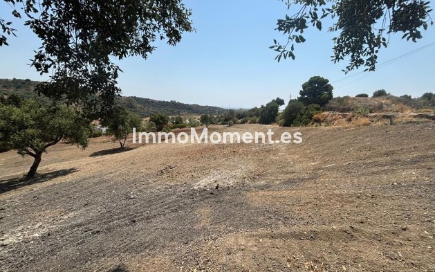 Wiederverkauf - Land - Estepona  - Estepona Centro
