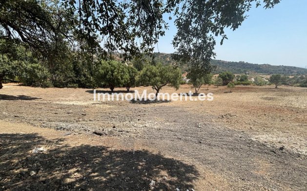 Wiederverkauf - Land - Estepona  - Estepona Centro
