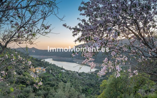 Revente - Maison mitoyenne - Intérieur                       - Istán
