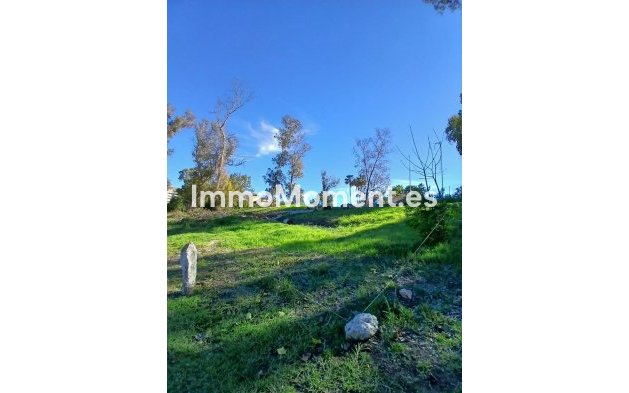 Resale - Land - Marbella - Guadalmina Alta