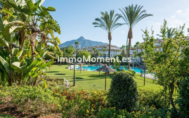 Bestaande woning - Appartement - Marbella - Nueva Andalucía