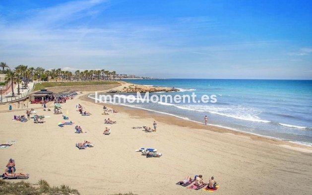 Wiederverkauf - Wohnung - Orihuela - Orihuela Centro