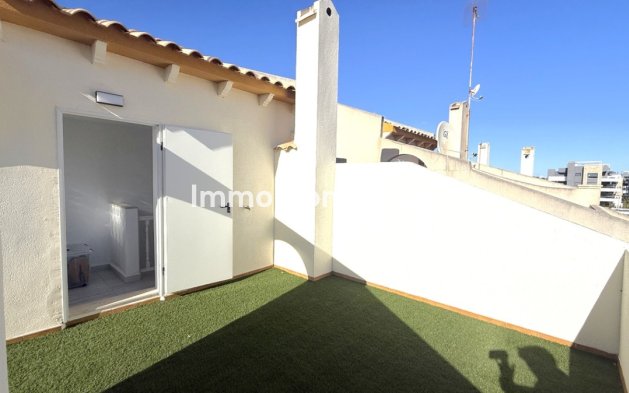 Revente - Villa - Orihuela - Orihuela Centro