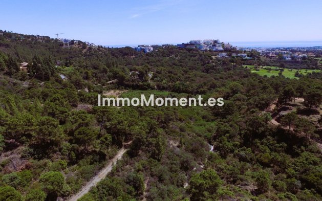 Revente - Terrain - Benahavís - Benahavís Centro