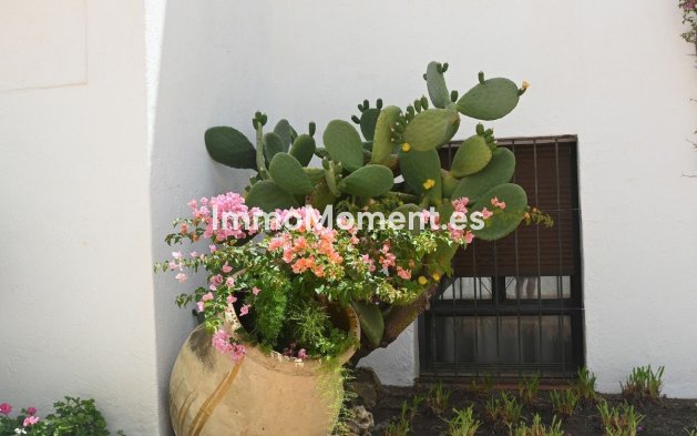 Wiederverkauf - Wohnung - Marbella - Nueva Andalucía