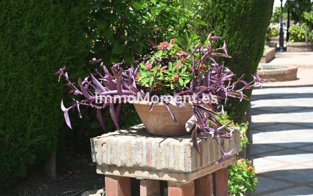 Wiederverkauf - Wohnung - Marbella - Nueva Andalucía