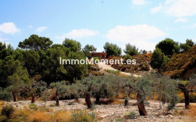 Resale - Country house - Murcia - Gea y Truyols