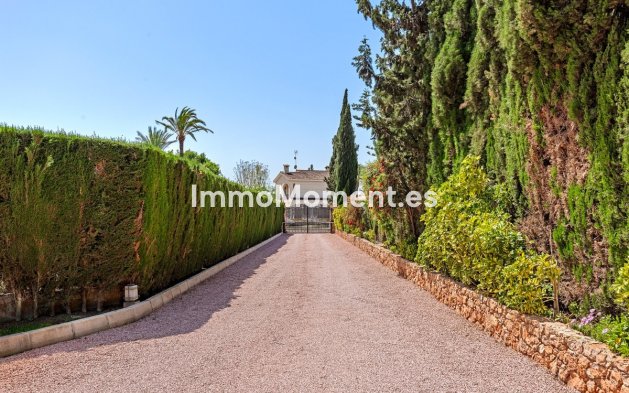 Revente - Villa - Elche - Elche Centro