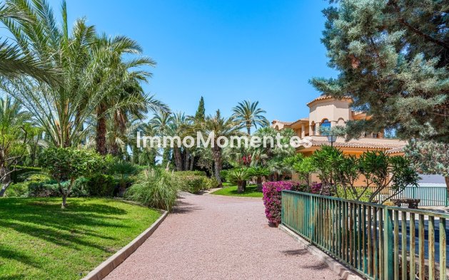 Revente - Villa - Elche - Elche Centro