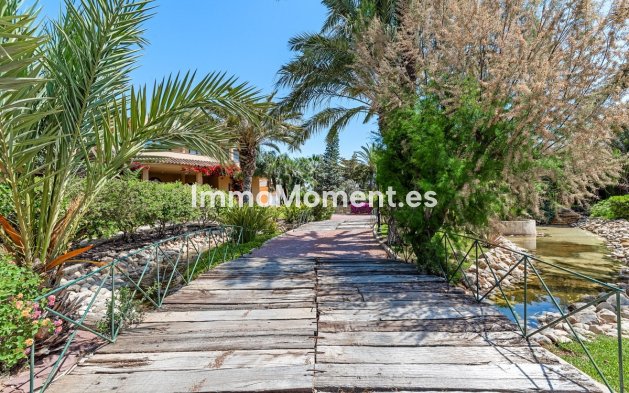 Revente - Villa - Elche - Elche Centro