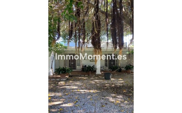 Revente - Villa - Marbella - Guadalmina Baja