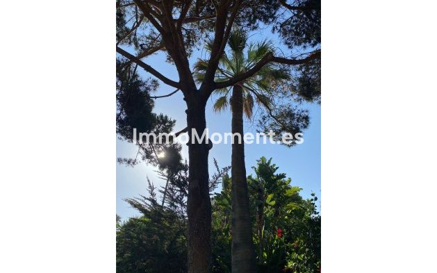 Revente - Villa - Marbella - Guadalmina Baja