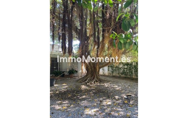 Revente - Villa - Marbella - Guadalmina Baja