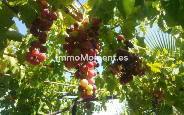 Revente - Maison de campagne - Intérieur                       - Alhaurín de la Torre