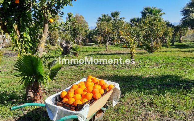 Revente - Maison de campagne - Intérieur                       - Alhaurín de la Torre