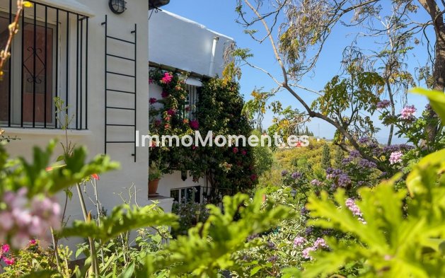 Reventa - Casa de campo - Interior  - Alhaurín el Grande Centro