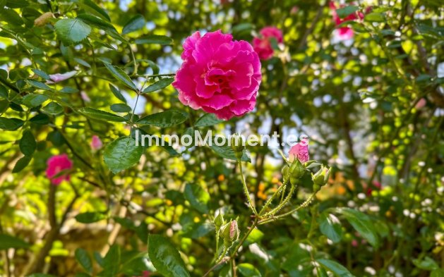 Reventa - Casa de campo - Interior  - Alhaurín el Grande Centro