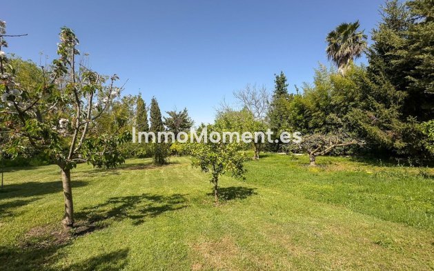Reventa - Casa de campo - Interior  - Alhaurín el Grande Centro