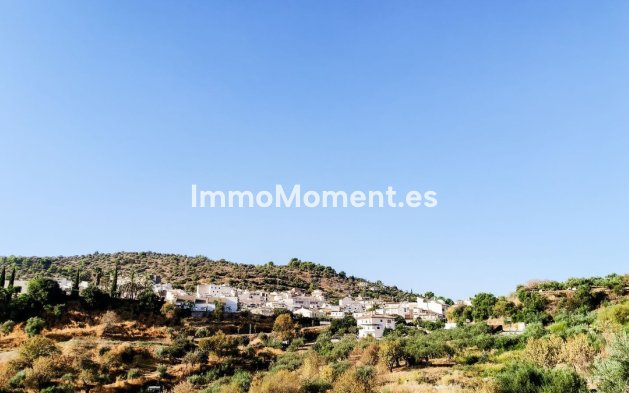 Revente - Maison mitoyenne - Intérieur                       - Guaro