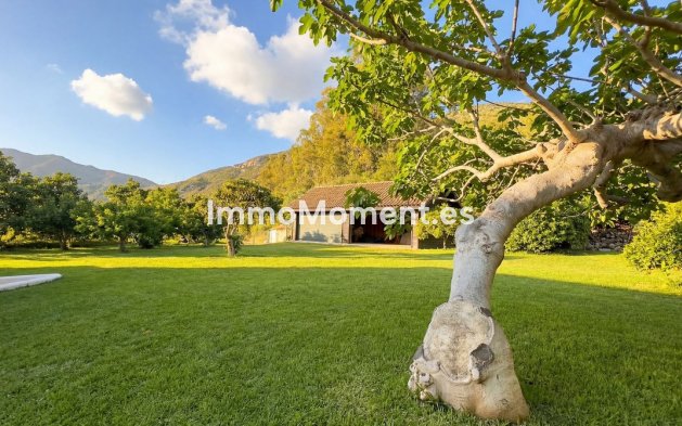 Reventa - Casa de campo - Interior  - Alhaurín el Grande Centro