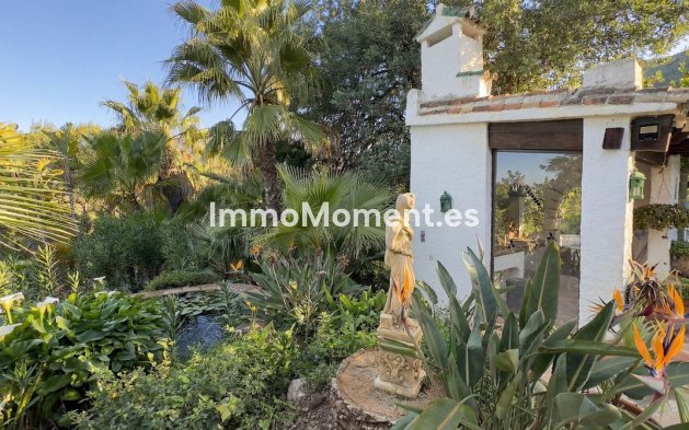 Reventa - Casa de campo - Interior  - Alhaurín el Grande Centro