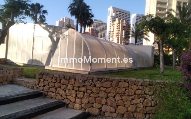 Wiederverkauf - Wohnung - Benidorm - Benidorm Centro