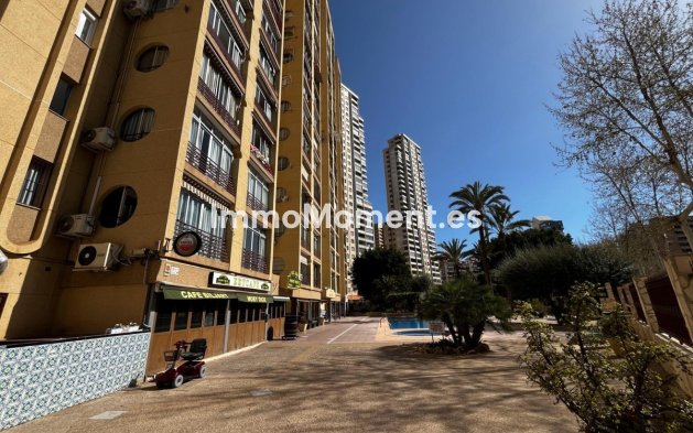 Reventa - Apartamento - Benidorm - Benidorm Centro