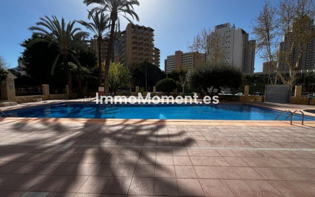 Reventa - Apartamento - Benidorm - Benidorm Centro