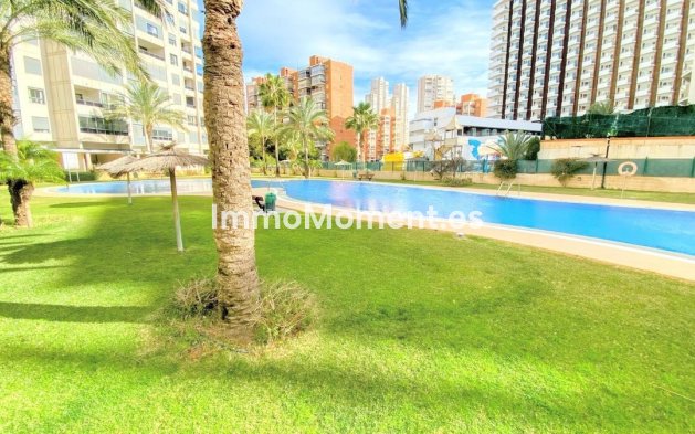 Wiederverkauf - Wohnung - Benidorm - Benidorm Centro