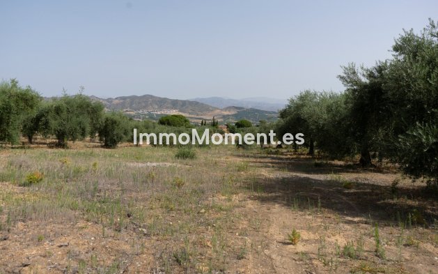 Wiederverkauf - Land -   Inländisch - Alhaurín de la Torre